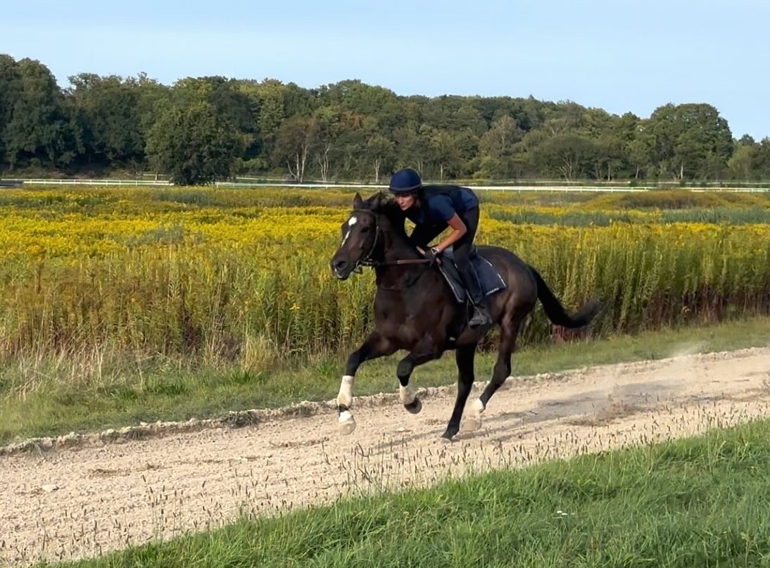 Christina Borreby rider på hest i galop