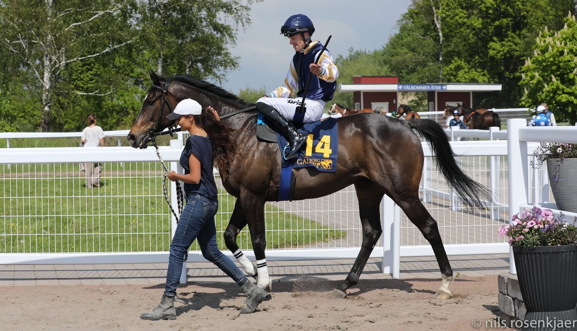 Christina trækker The Maestro ind på banen