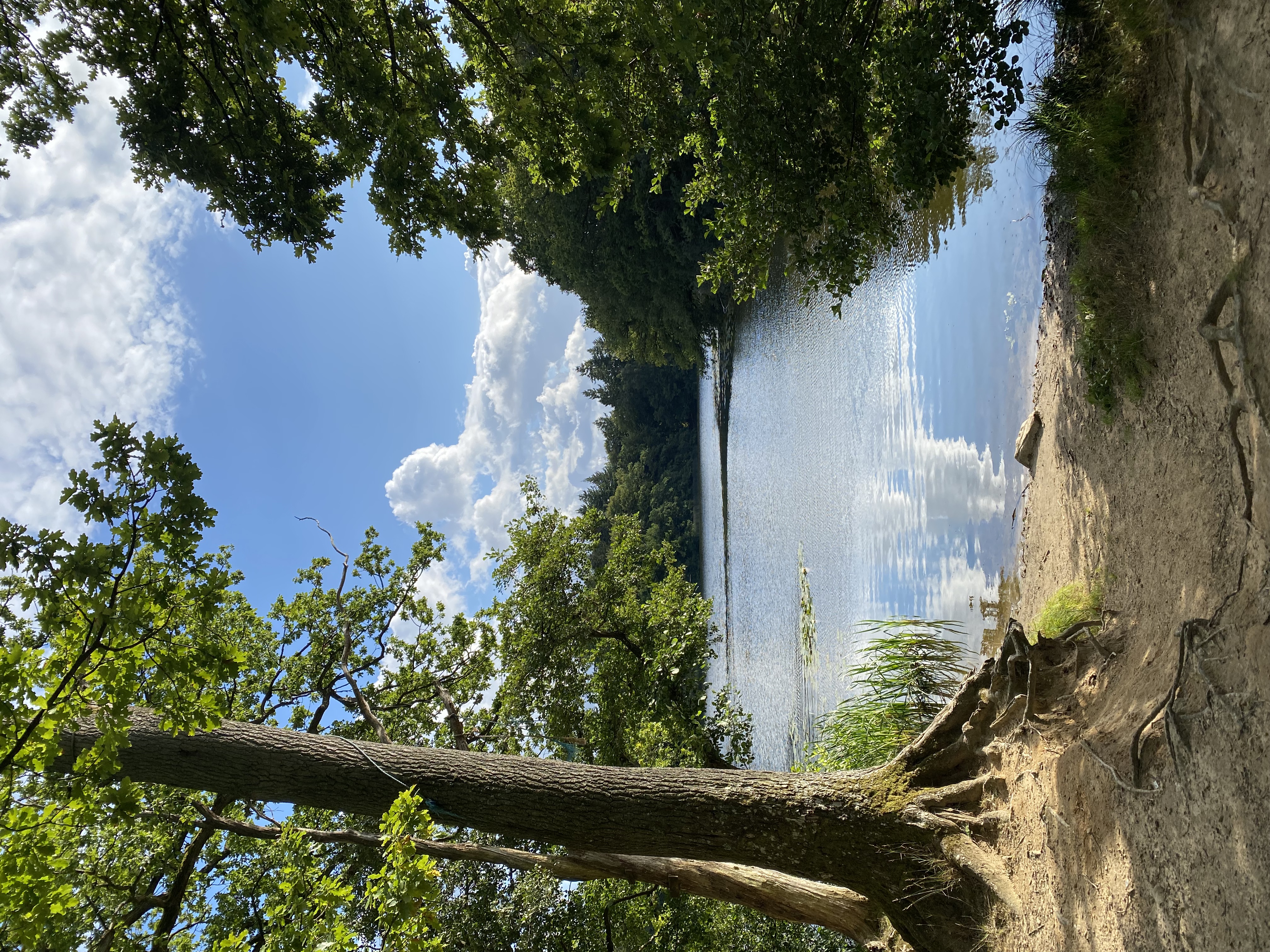 Recalibrate - find tilbage til dig selv