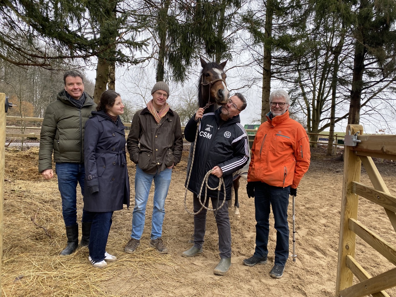 Teamudvikling med heste